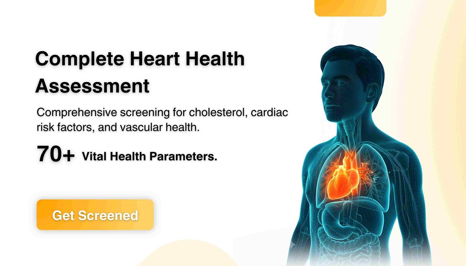 Complete Heart Health Assessment